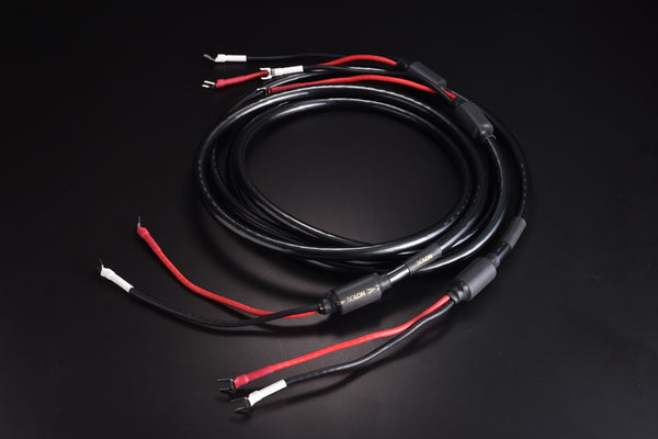 TiGLON MSS-DF100SP-HSE Speaker Cable (Pair)